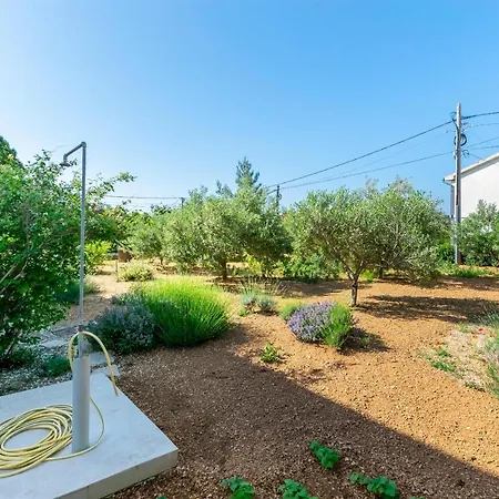 Lidija Apartament